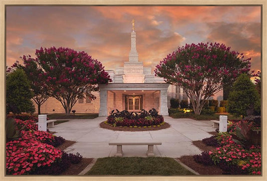Raleigh Splendor