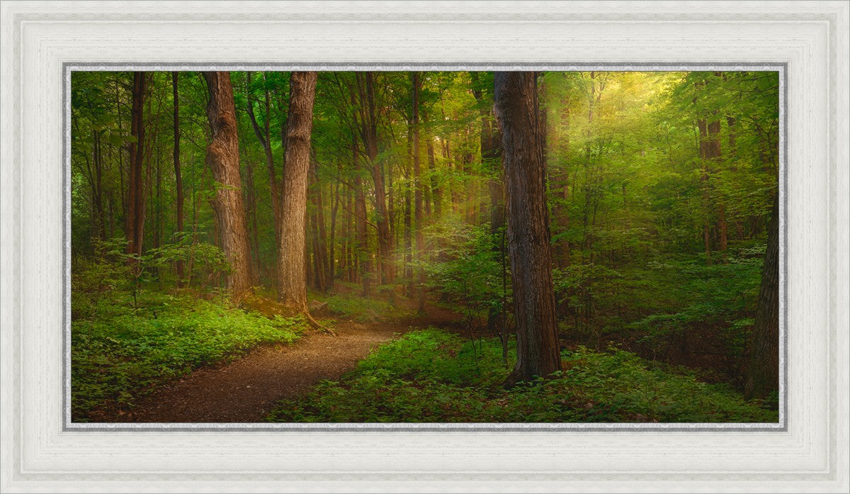 Sacred Grove