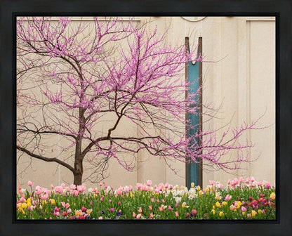 Jordan River Awakening Gallery Wrap