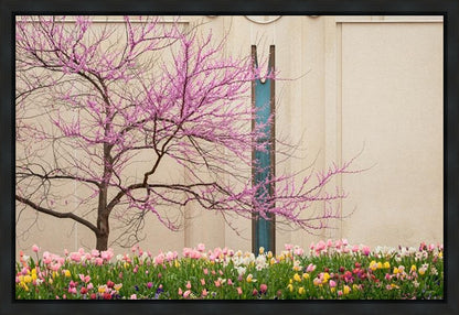 Jordan River Awakening Gallery Wrap