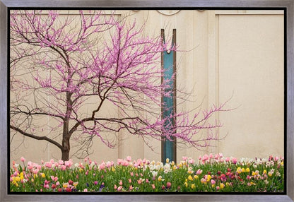 Jordan River Awakening Gallery Wrap