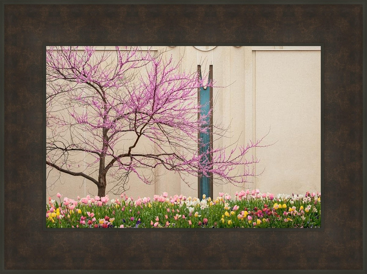 Jordan River Awakening