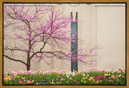 Jordan River Awakening Gallery Wrap