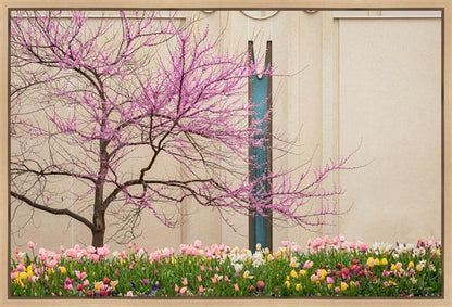 Jordan River Awakening Gallery Wrap