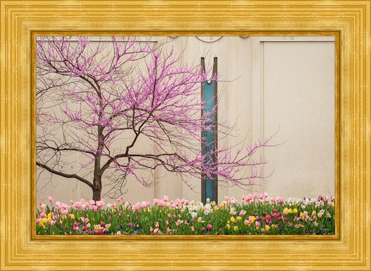 Jordan River Awakening