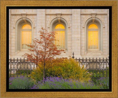 Salt Lake Autumn Detail Gallery Wrap
