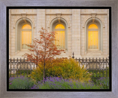 Salt Lake Autumn Detail Gallery Wrap