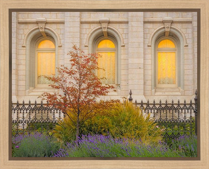 Salt Lake Autumn Detail Gallery Wrap