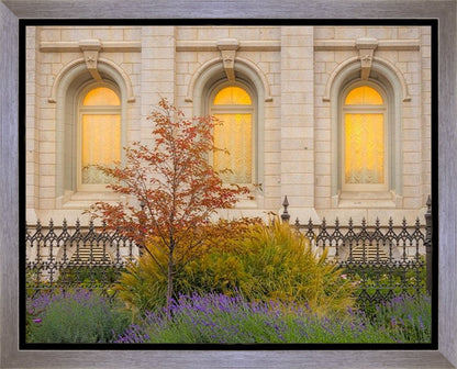 Salt Lake Autumn Detail Gallery Wrap
