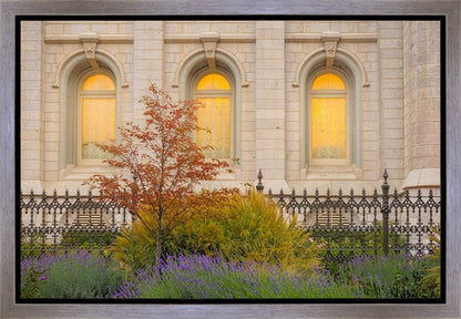 Salt Lake Autumn Detail Gallery Wrap