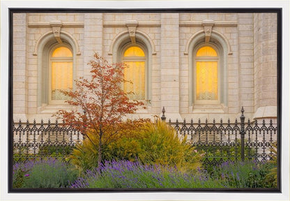 Salt Lake Autumn Detail Gallery Wrap