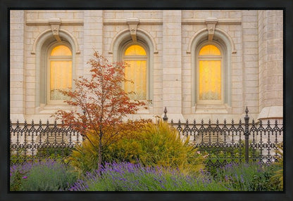 Salt Lake Autumn Detail Gallery Wrap