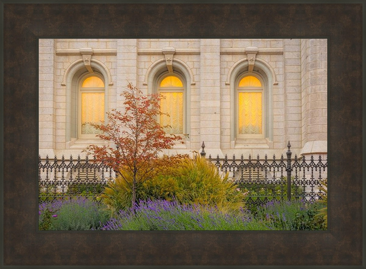 Salt Lake Autumn Detail