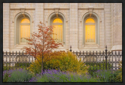 Salt Lake Autumn Detail Gallery Wrap
