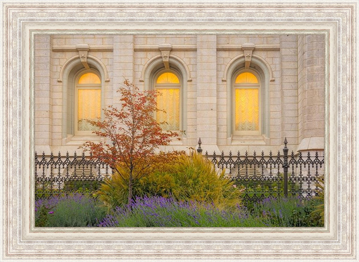 Salt Lake Autumn Detail