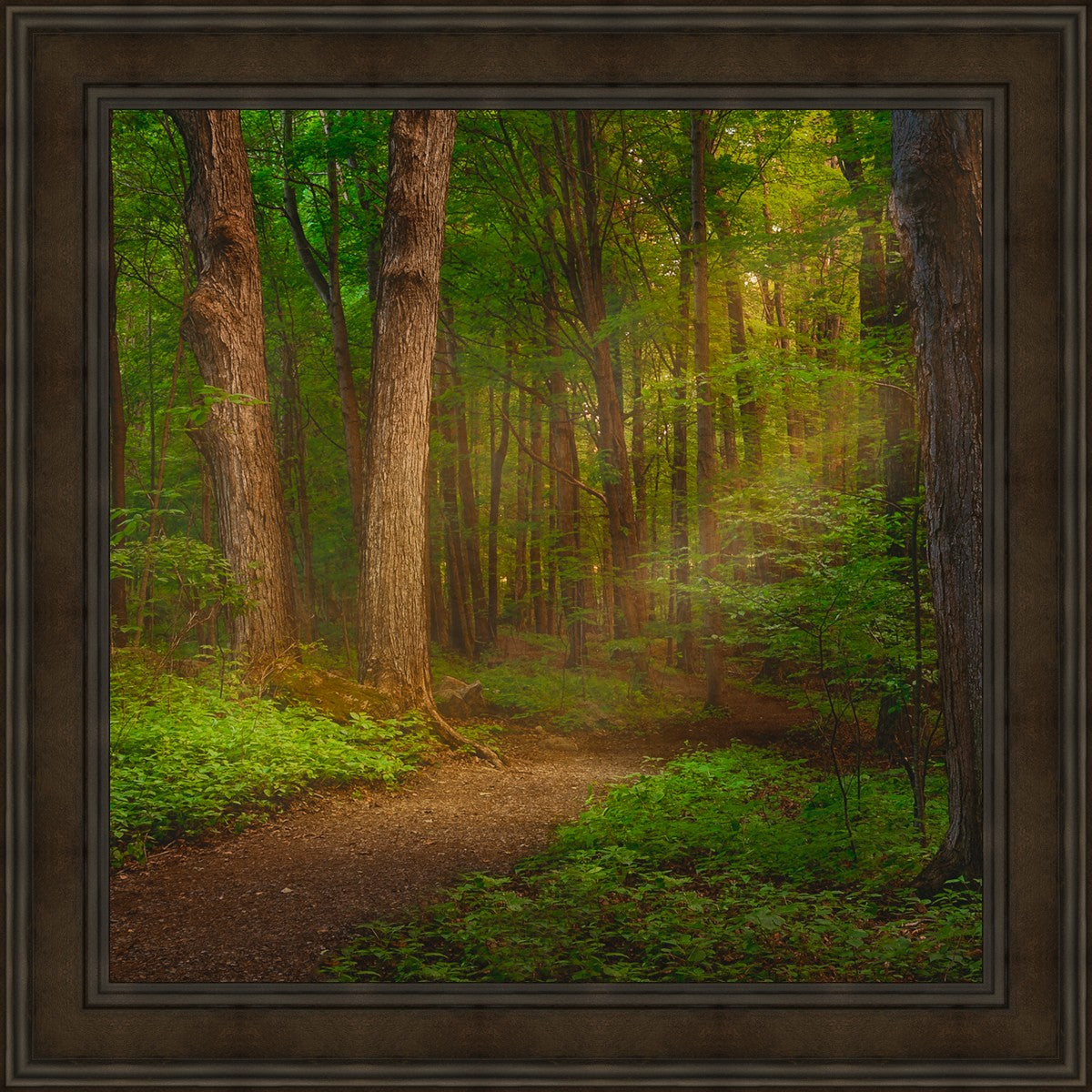 Sacred Grove