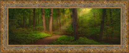 Sacred Grove