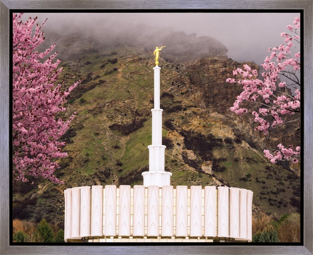 Provo Oncoming Storm