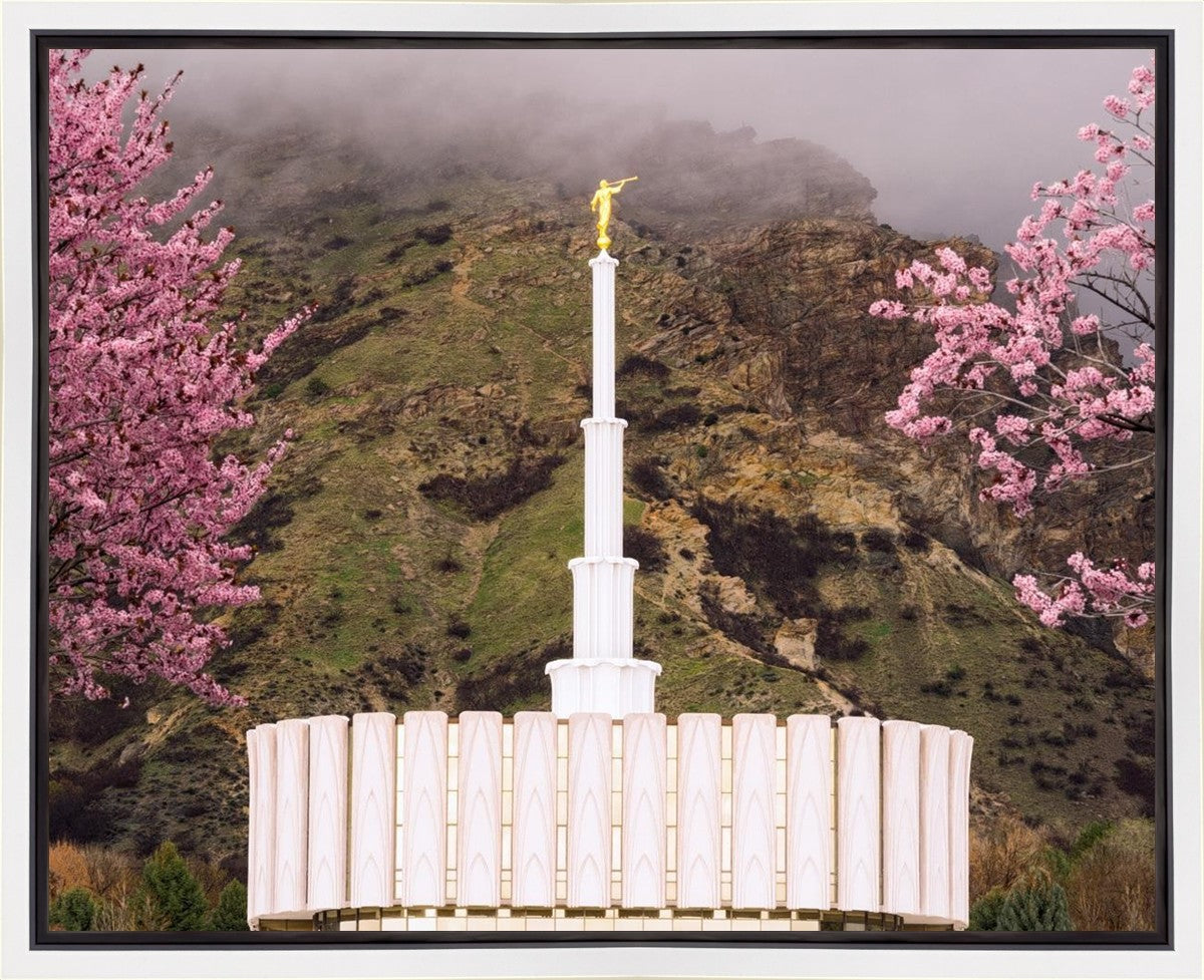 Provo Oncoming Storm