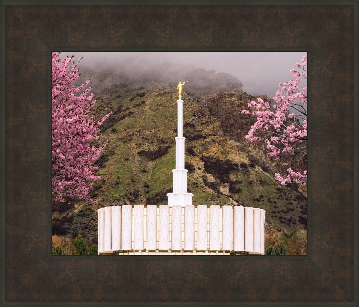 Provo Oncoming Storm