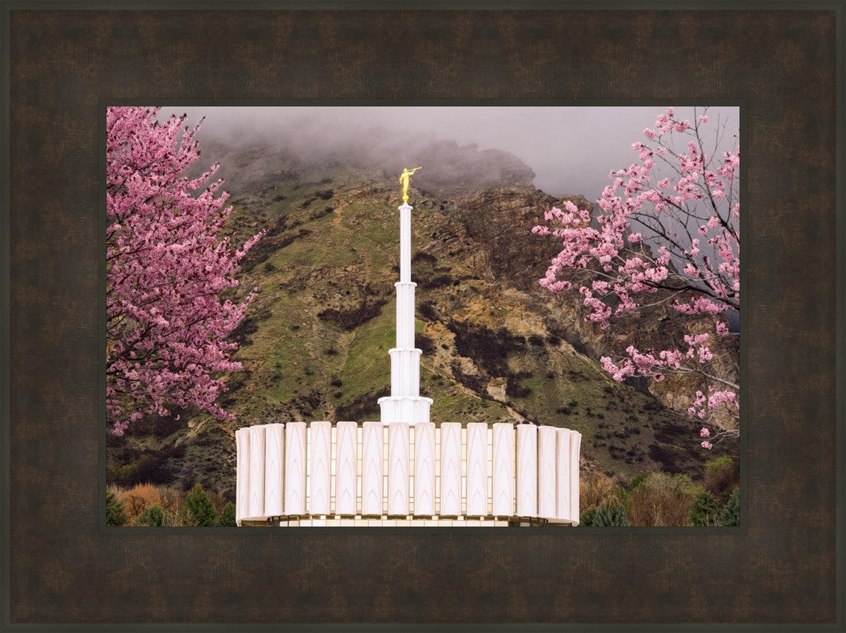 Provo Oncoming Storm