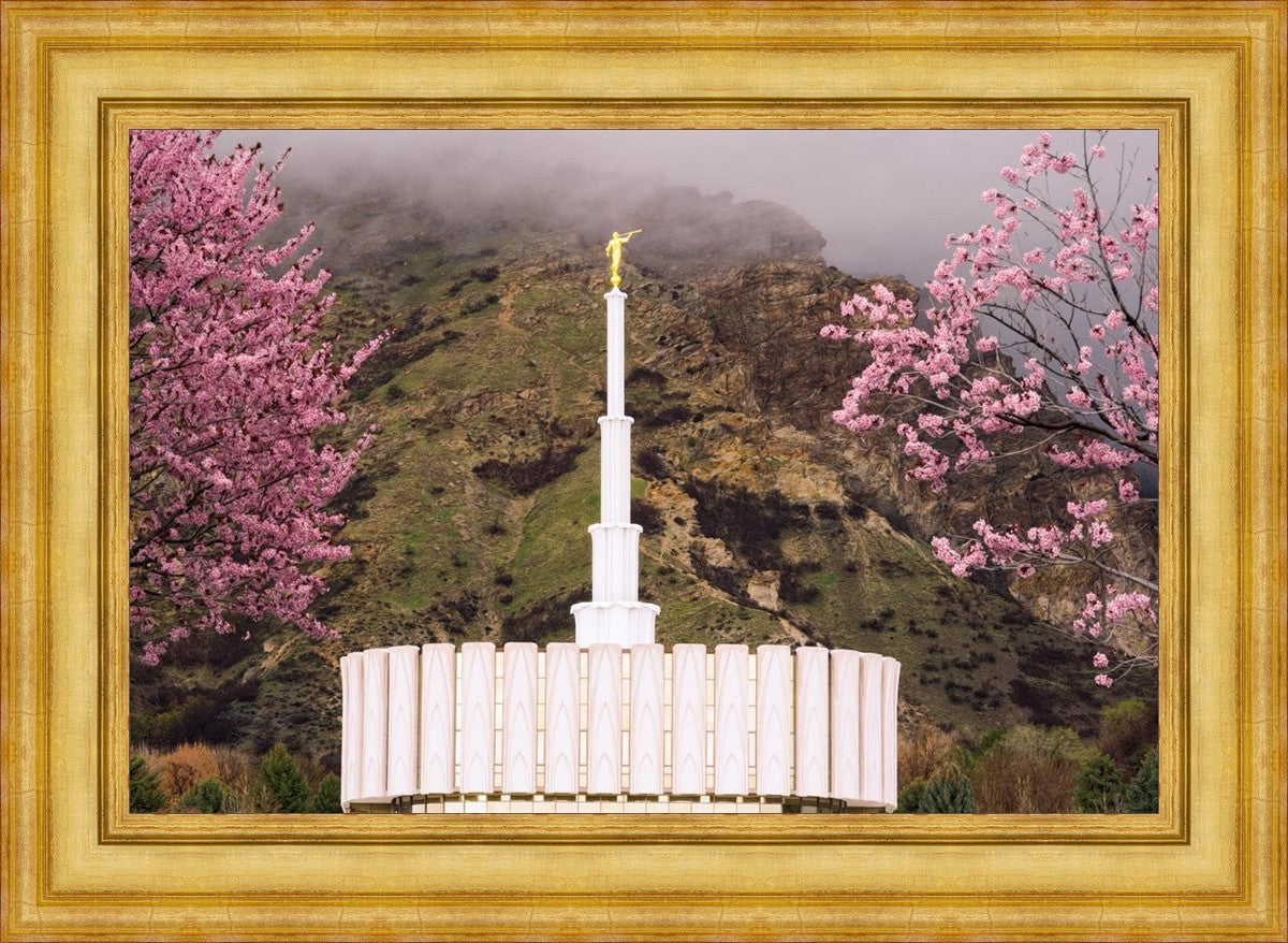 Provo Oncoming Storm