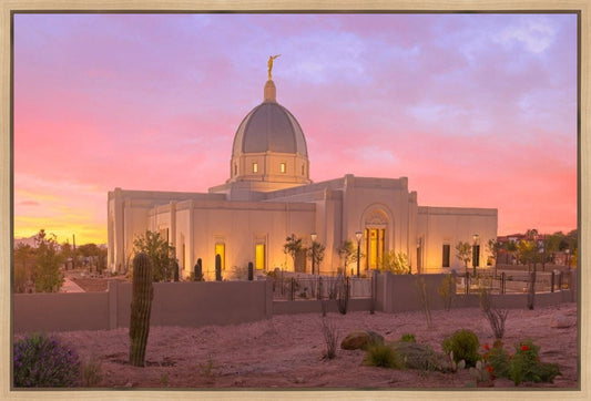 Tucson Desert Sunset