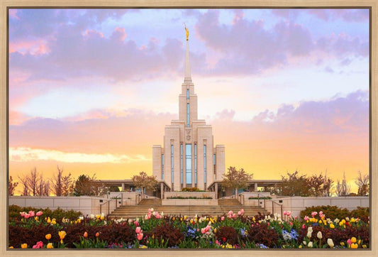 Oquirrh Mountain Peaceful Spring