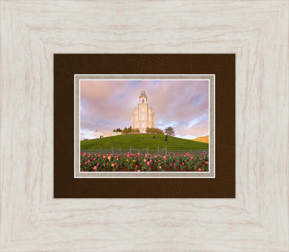 Manti Mount of Zion