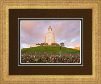 Manti Mount of Zion