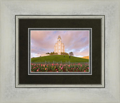 Manti Mount of Zion