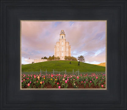 Manti Mount of Zion