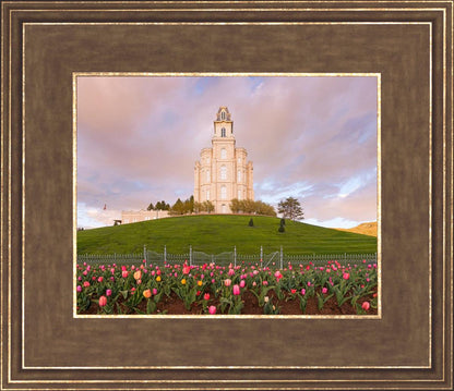 Manti Mount of Zion