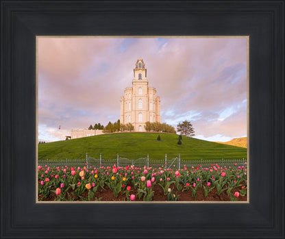 Manti Mount of Zion