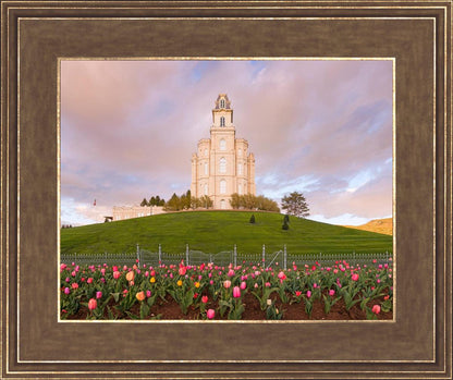 Manti Mount of Zion