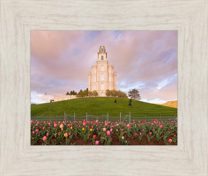 Manti Mount of Zion