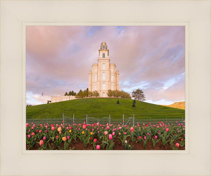 Manti Mount of Zion