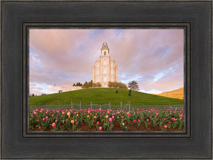 Manti Mount of Zion