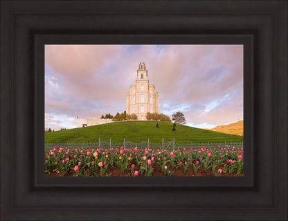 Manti Mount of Zion