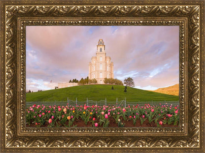 Manti Mount of Zion