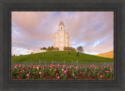 Manti Mount of Zion