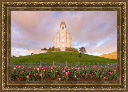 Manti Mount of Zion
