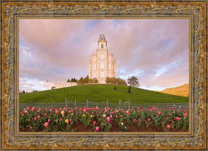 Manti Mount of Zion