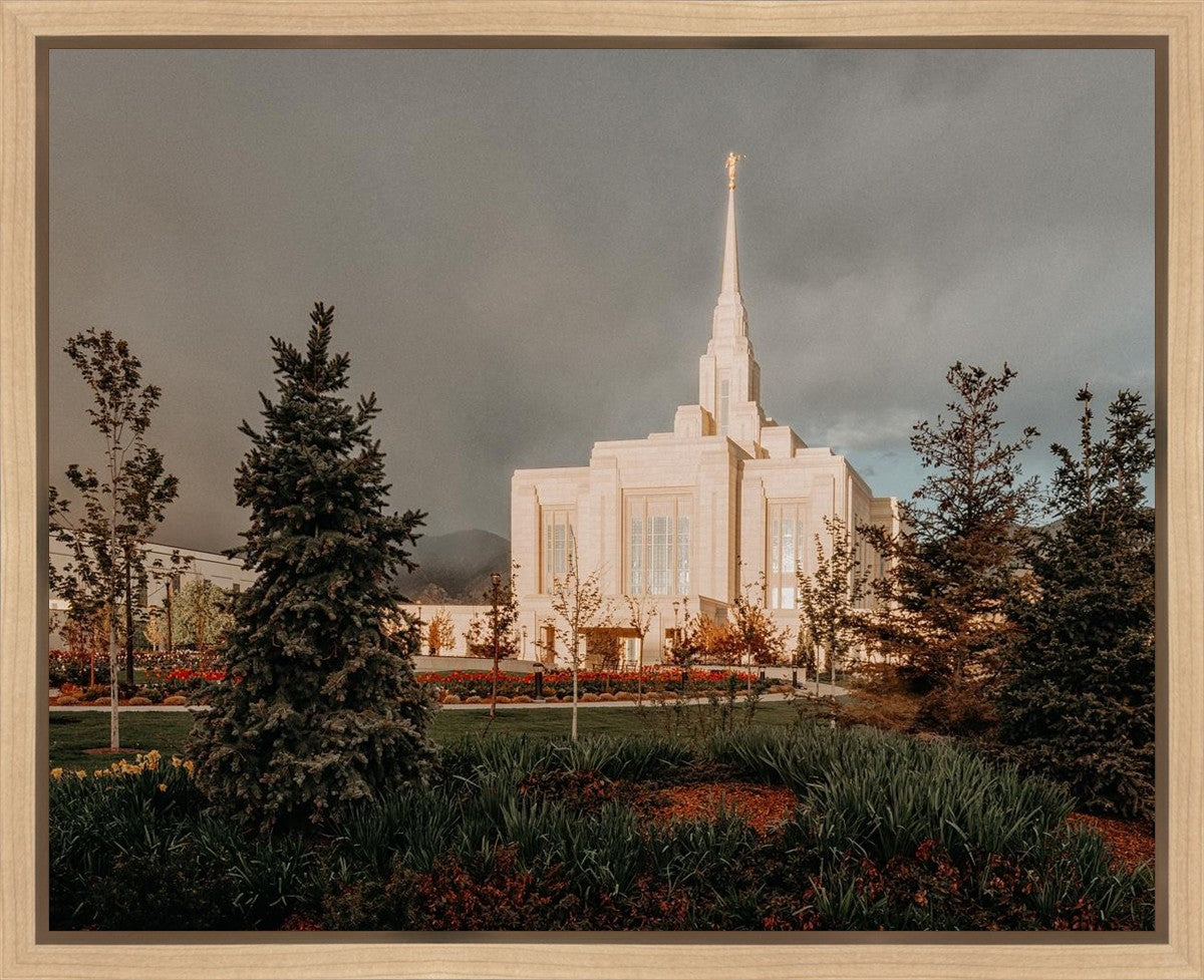 Ogden Pine a Firm Foundation