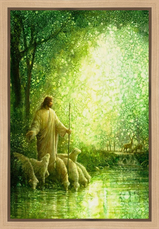 Feed My Sheep