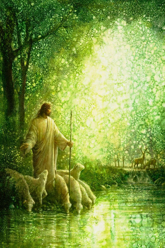 Feed My Sheep is a painting that depicts Jesus Christ watching over His flock while drinking at a pond - Yongsung Kim | LDSArt.com | Christian Artwork