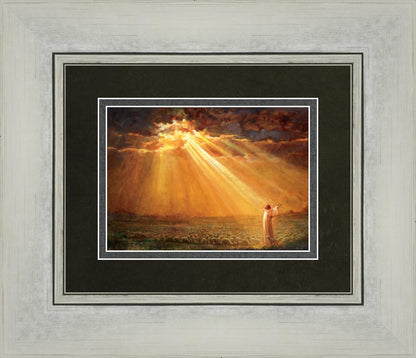 Rejoice in His Light