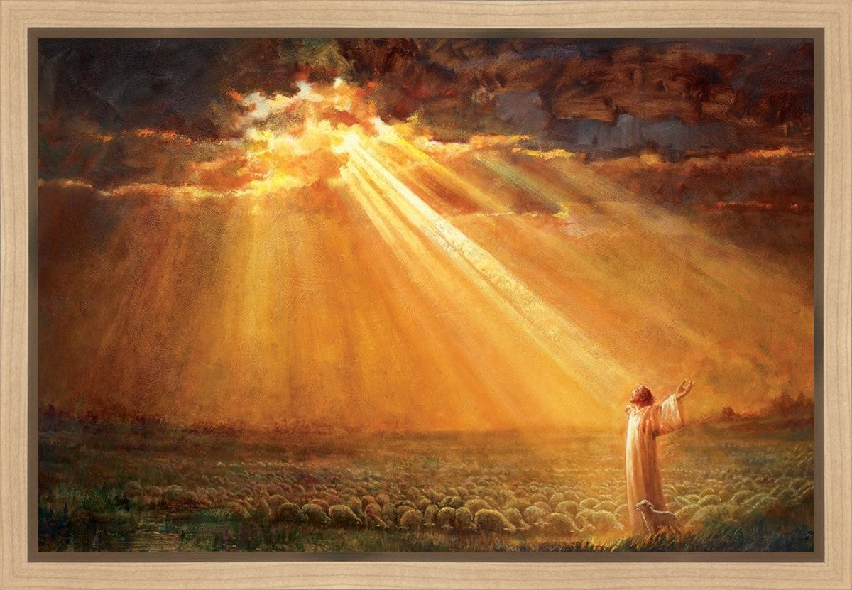 Rejoice in His Light