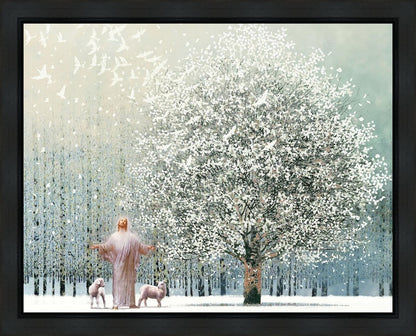 Solitude Gallery Wrap