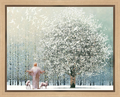 Solitude Gallery Wrap